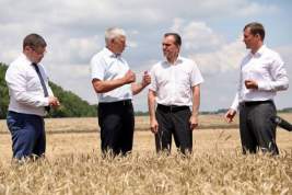 В Краснодарском крае собрали свыше 7,7 миллионов тонн зерна