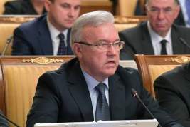 В Красноярске прошел второй митинг за отставку губернатора Александра Усса
