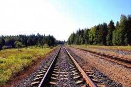 В Ленинградской области с поезда сняли пьяного третьеклассника