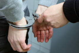 В Ленобласти за растрату арестован замглавы Фонда дольщиков