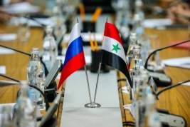 В МИД Сирии рассказали о значимости российских С-300 для страны
