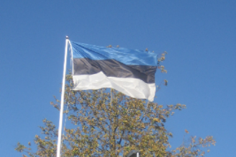 В МИД Эстонии заявили о полувековой оккупации Советским Союзом