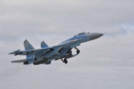 В Минобороны РФ сообщили о поражении высокоточным оружием пяти боевых самолётов ВСУ