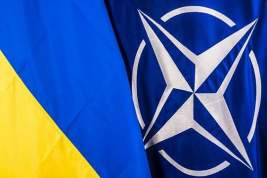 В НАТО отказалась поставлять оружие Украине