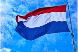 В Нидерландах разглядели вину Украины за сбитый малайзийский «Боинг»