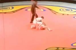 В Омске гимнастка сорвалась с высоты во время циркового представления