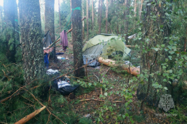 В палаточном лагере в Марий Эл погибли 8 туристов: очевидцы рассказали о попытках спастись от падающих деревьев