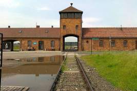 В Польше предложили отправлять мигрантов в нацистские концлагеря – Освенцим, Майданек и Треблинку
