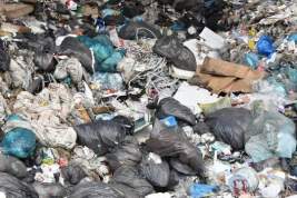В правительстве Московской области сообщили о контроле над ситуацией с мусорным полигоном «Ядрово»