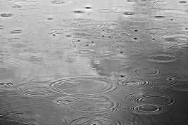 В Приморье количество подтопленных из-за сильных дождей домов увеличилось до 189