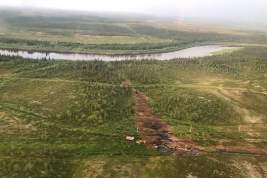 В реку Колва в Коми могли попасть около 1000 кубометров нефти