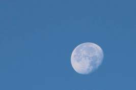 В «Роскосмосе» озвучили основную причину крушения станции «Луна-25»