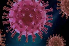В России выявили 25 173 новых случая заражения коронавирусом и 361 летальный исход