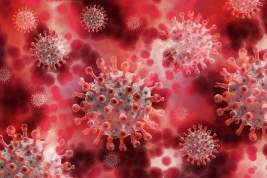 В России выявили пять случаев нового варианта коронавируса