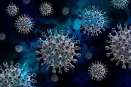 В России выявили южноафриканский штамм коронавируса