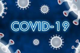 В Ростовской области более 50 человек повторно заболели COVID-19