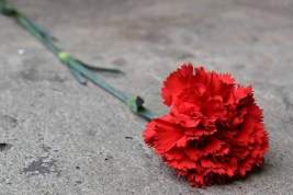 В Санкт-Петербурге чиновник поздравил «именинницу» с годовщиной теракта