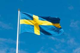 В Швеции призвали «надавить» на ФРГ по «Северному потоку – 2»