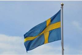 В Сирии задержаны примкнувшие к ИГ граждане Швеции