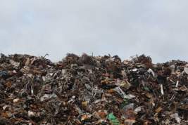 В Совфеде отреагировали на предложение переноса реформы по утилизации отходов