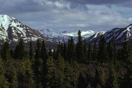 В США не нашли фрагменты сбитых над Аляской воздушных объектов