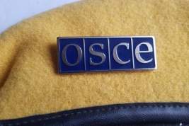 В США призвали исключить Россию из состава ОБСЕ