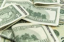 В США рассказали об ироничной судьбе доллара из-за действий администрации Джо Байдена