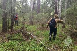 В Свердловской области нашли потерявшихся в лесу детей с собаками: они пропали четыре дня назад