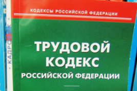 В Трудовом кодексе РФ появится отдельный пункт об обеспечении трудовых прав мобилизованных работников