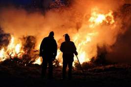В Турции арестовали российских туристов по подозрению в поджоге леса