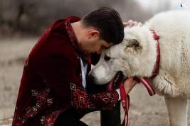 В Туркмении ограничили вывоз из страны собак породы алабай