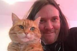 В Великобритании умер уличный кот по кличке Боб
