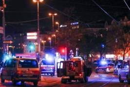 В Вене произошла серия атак: к ним могут быть причастны сторонники ИГ