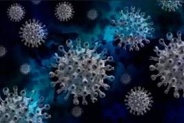 В ВОЗ порассуждали о возможности избежать второй волны коронавируса
