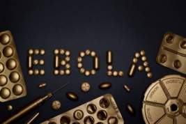 В ВОЗ сообщили о новом случае инфицирования Эболой в ДР Конго