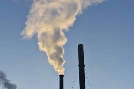 В ходе проверки на кожевенном заводе в Рязани выявлены нарушения экологических норм