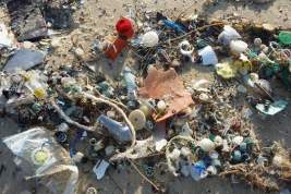 Вице-премьер Абрамченко сочла ситуацию с засорением океана пластиком чудовищной