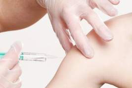 Власти Австрии хотят ввести обязательную вакцинацию от COVID-19