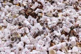 Власти Греции приступили к масштабной программе по отказу от одноразового пластика