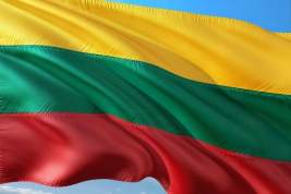 Власти Литвы призвали НАТО немедленно начать укреплять оборону Прибалтики