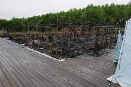 Власти назвали еще одну возможную причину пожара в лагере «Ходломи»