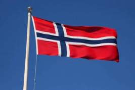 Власти Норвегии обвинили РФ в кибератаках на парламент страны