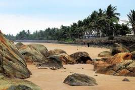 Власти Шри-Ланки объявили дефолт по внешнему долгу
