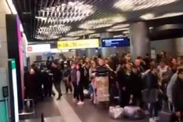 Во Внуково возник коллапс из-за сбоя в работе системы обработки багажа: в аэропорту застряли сотни пассажиров