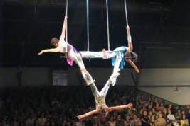 Во время выступления в Большом Московском цирке пострадала гимнастка