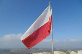 Военный эксперт: Польша отправит на Украину десятки тысяч солдат под чужим флагом
