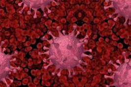 ВОЗ: пандемия коронавируса закончится в 2022 году