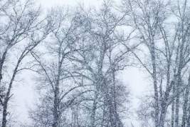 Врачей на Сахалине завалило снегом на дежурстве: оно затянулось на третьи сутки