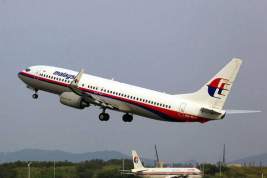 Выдвинута новая версия катастрофы пропавшего малазийского «Боинга» MH370