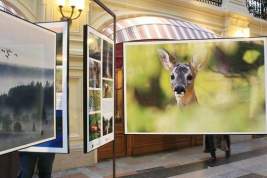 Выставка 3D-фото о природе Камчатки открыта в ГУМе